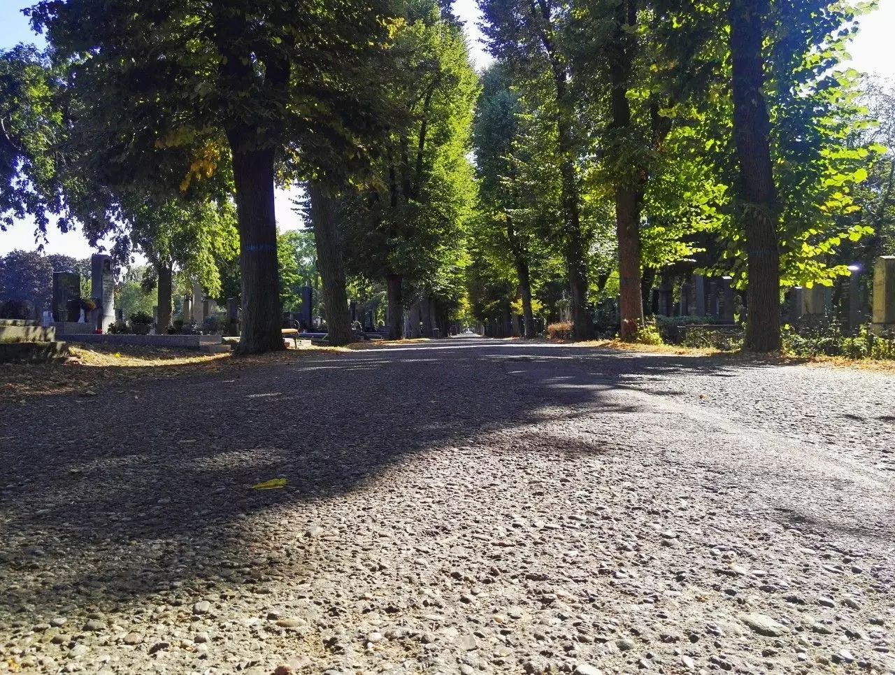 交换手记：皇家墓穴勘探笔记