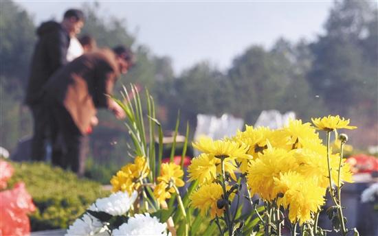 海南踏青,春季踏青出游交通安全提示