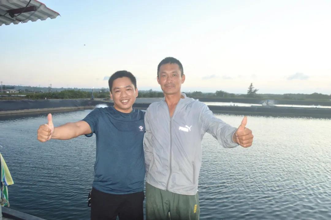 石斑鱼寄生虫类疾病防控技术,石斑鱼孢子虫最佳防治方法