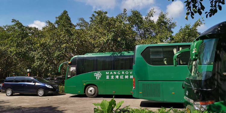 三亚红树林有亲子活动,三亚红树林和海韵