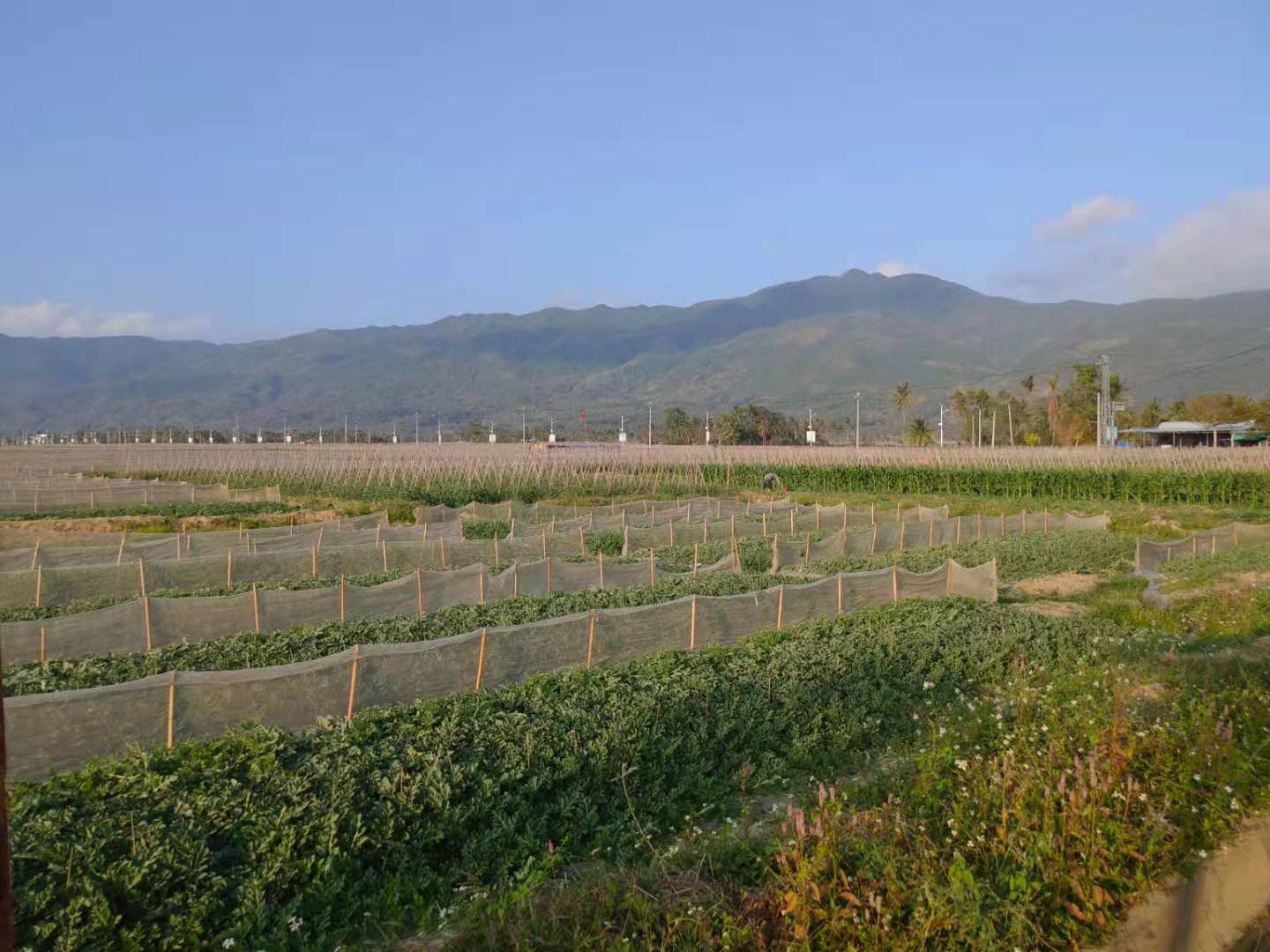 过年吃胖了怎么办？管住嘴+迈开腿，*管双**齐下！