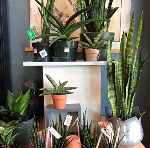 这三种药建议收藏,这3种药不能随便用