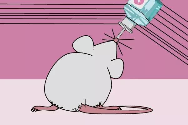 走近科学鼠王,走近科学之消失的巴士