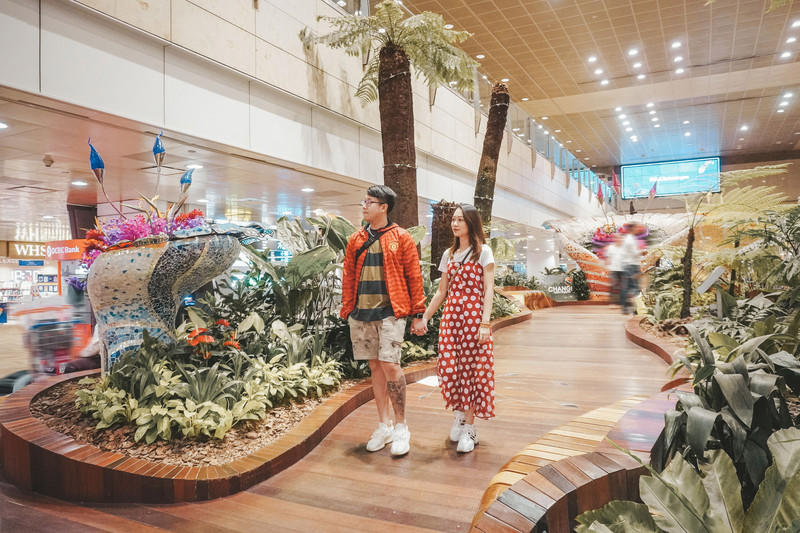 一人一猫环游,一人一猫旅行