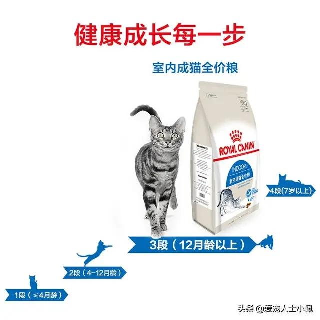 猫咪流眼泪很多其他都是正常的,猫咪为什么会无缘无故的流眼泪呢