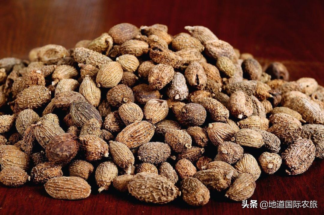 桂林阳朔康养旅游可以去哪,阳春小桂林风景区