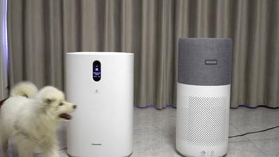 飞利浦和松下空气净化器哪个好,飞利浦空气净化器为啥有异味