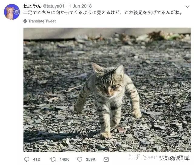 沙雕手办日本小哥,日本沙雕手办小哥