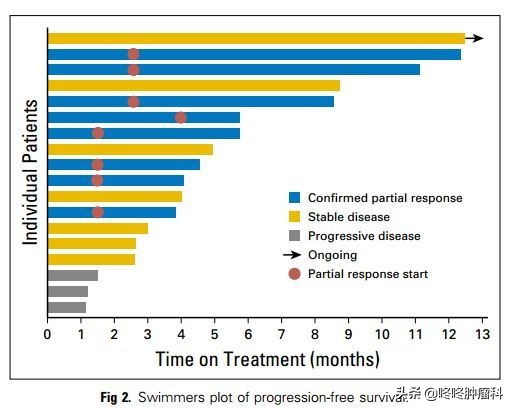 her2肺癌有靶向药吗,肺癌her2靶向药