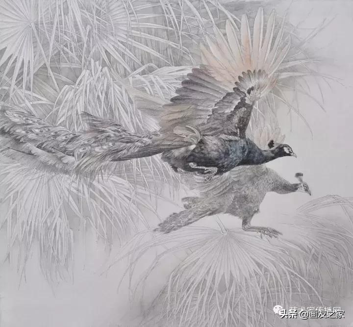 工笔孔雀上色步骤详解,工笔最顶级逼真孔雀画精品