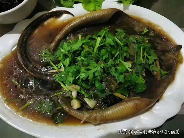 小胖渔家,长岛小胖渔家乐