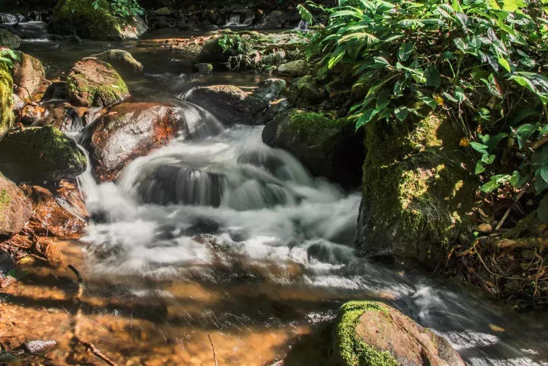云南中越边境小城,云南新兴网红城市