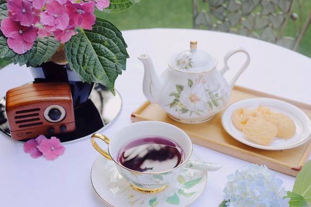 周末去哪儿小说,周末去哪儿玩免费景点