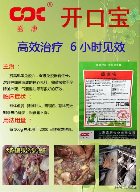 养鸡细菌病怎么防治,小麦细菌性条斑病防治方法