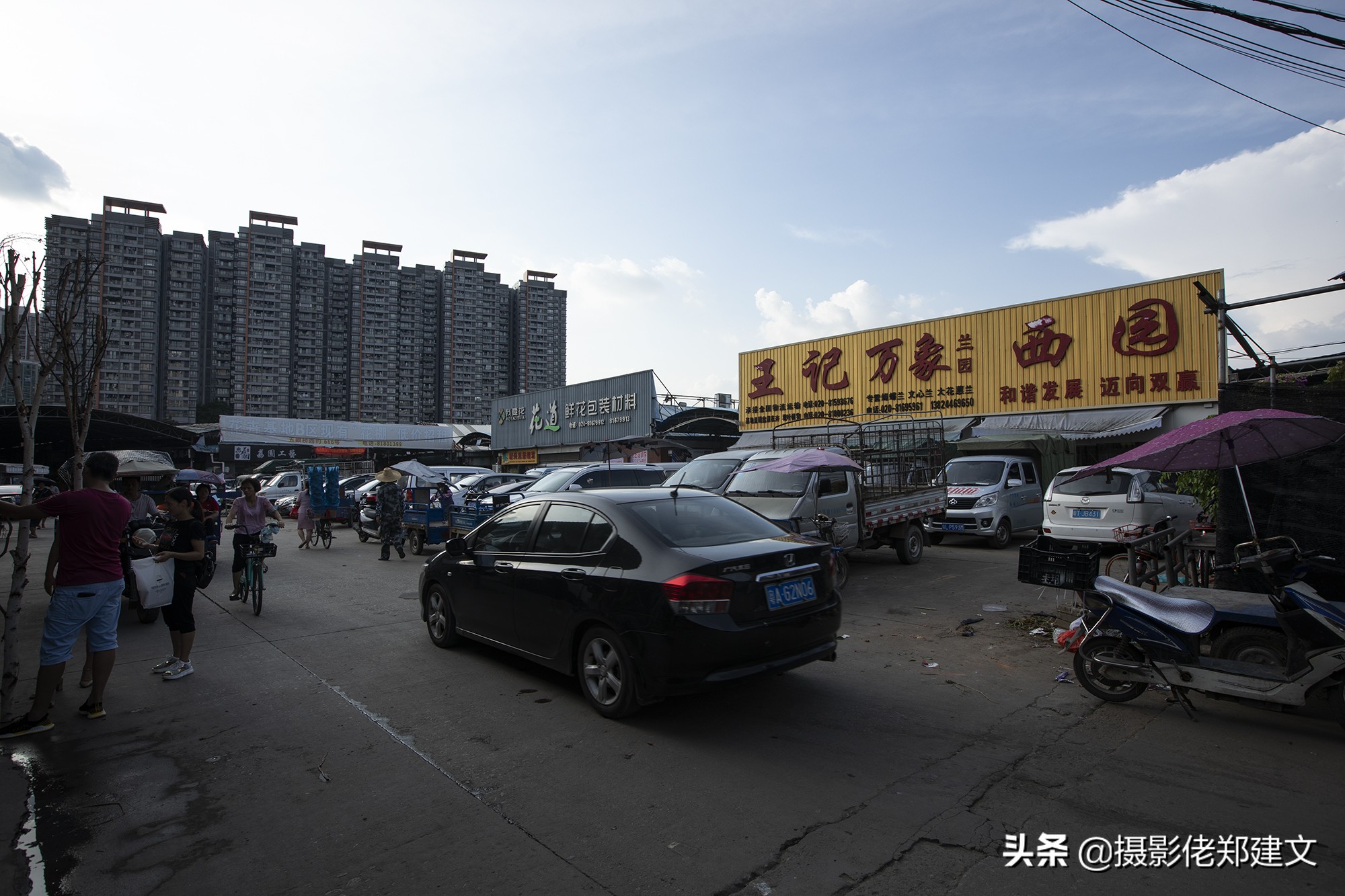 全国最大的鲜花交易市场,岭南花卉市场鲜花从哪里来