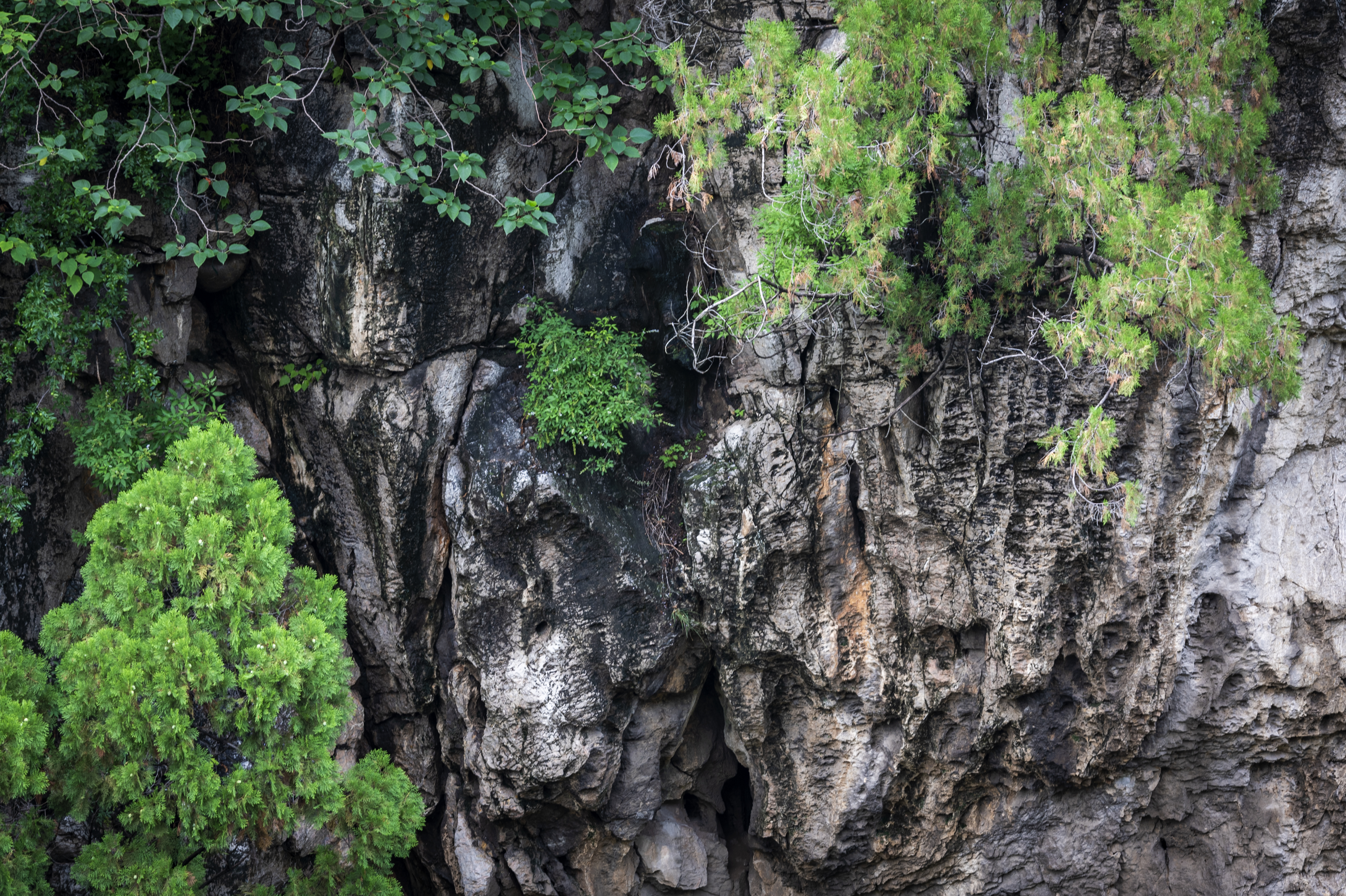 济南这些宝藏旅行地等你打卡,藏不住的山水秘境