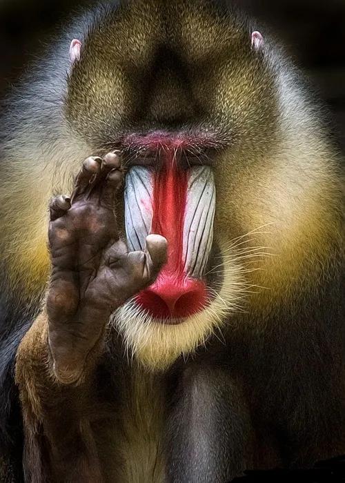 韩国人眼中的傲慢与偏见,韩国人骨子里的霸凌