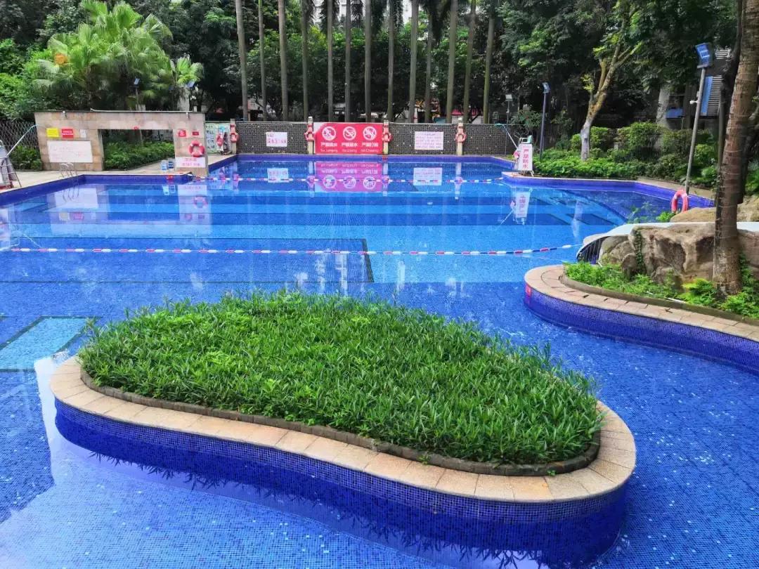 广州十大游泳池,黄埔游泳池有哪些