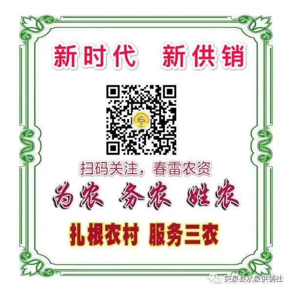 农村电商服务点提升,电商服务进村