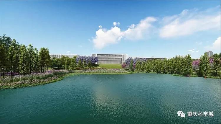 大型绿地公园,25万平方人工湖