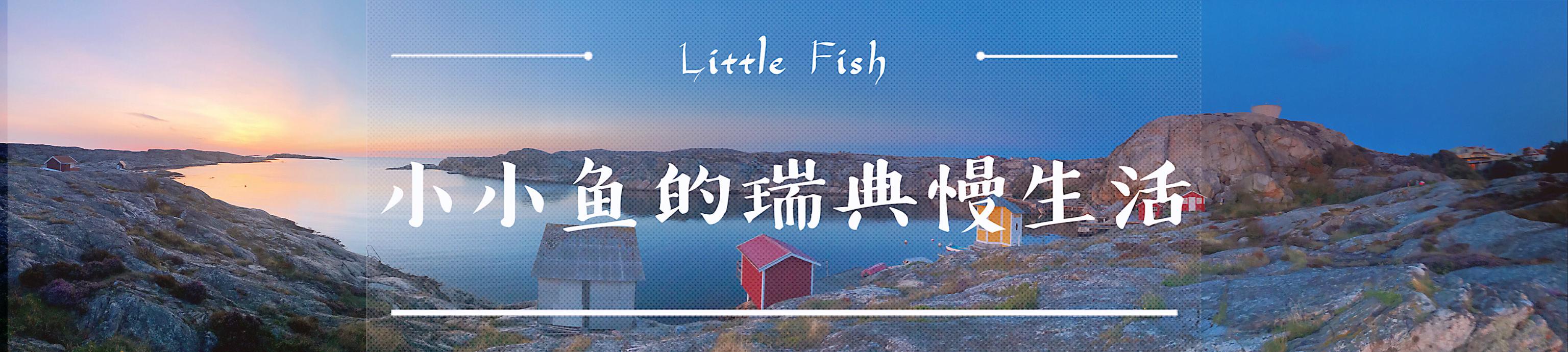 走进瑞典带你看看瑞典的真实现状,瑞典不可不知的事