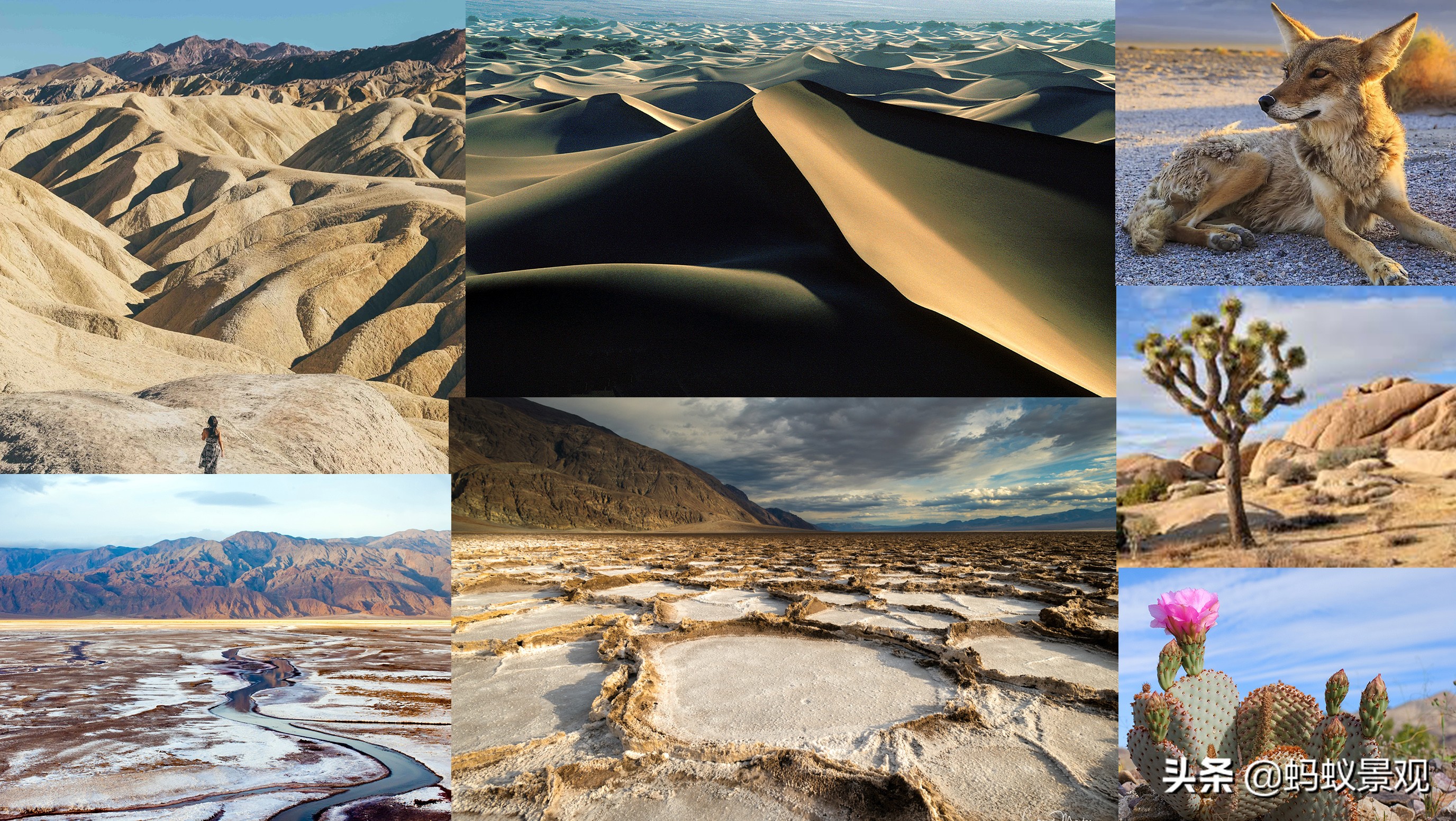 蒙太奇如何学习,蒙太奇理解