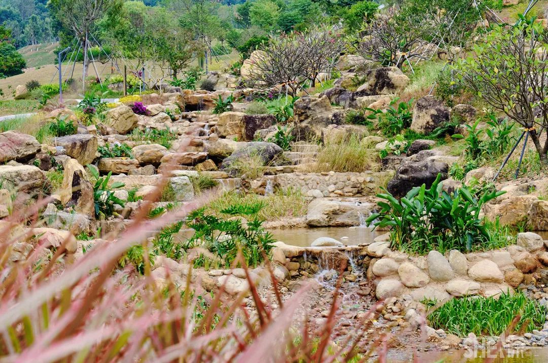 深圳5号地铁线附近的公园,地铁直达的深圳商圈