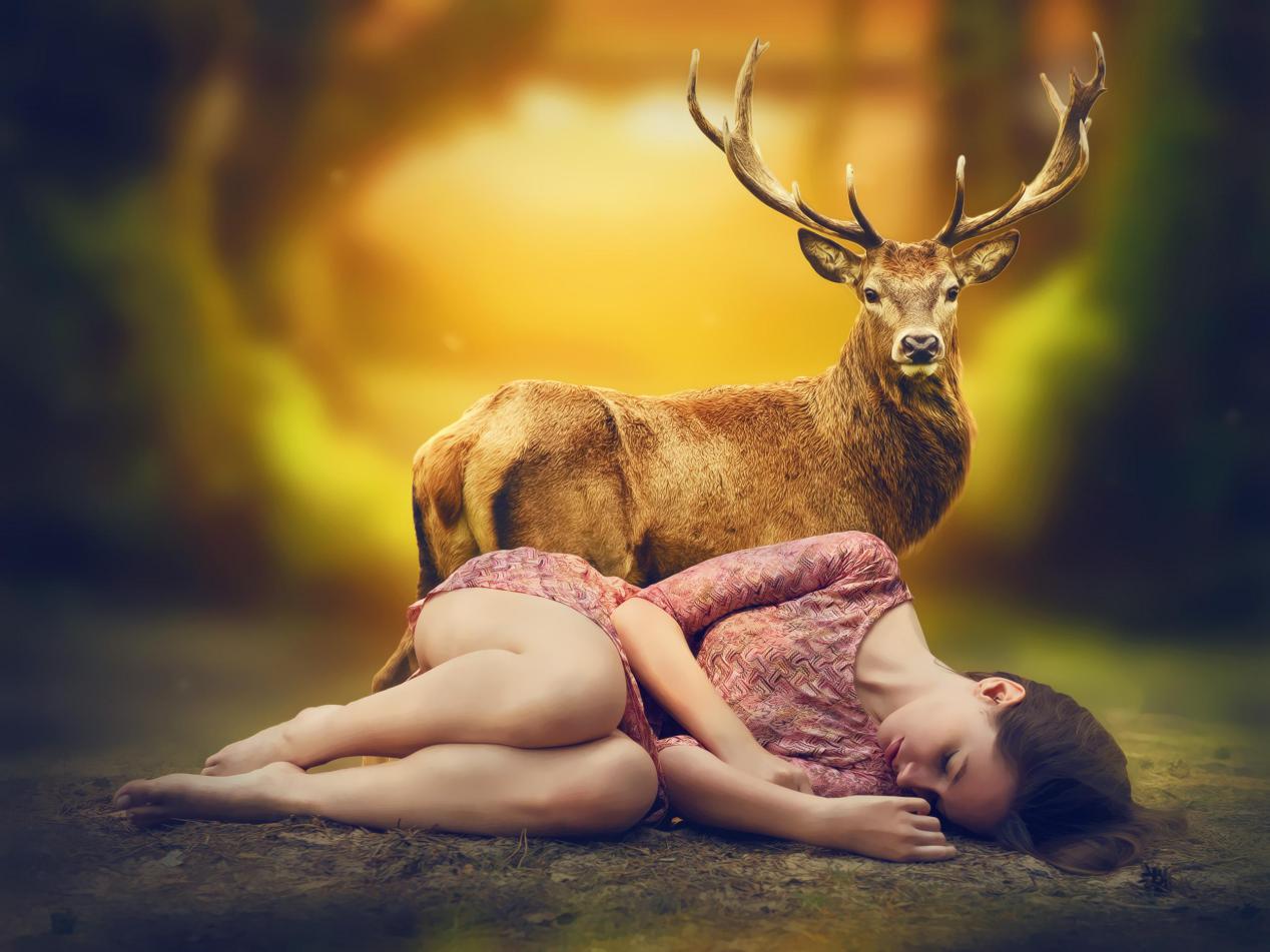 童话里的故事都是骗人的下一句,为什么说童话故事都是骗人的