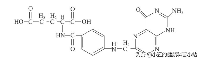 老年人为什么要吃叶酸有什么好处,老年人补充叶酸每片5mg每天服几片