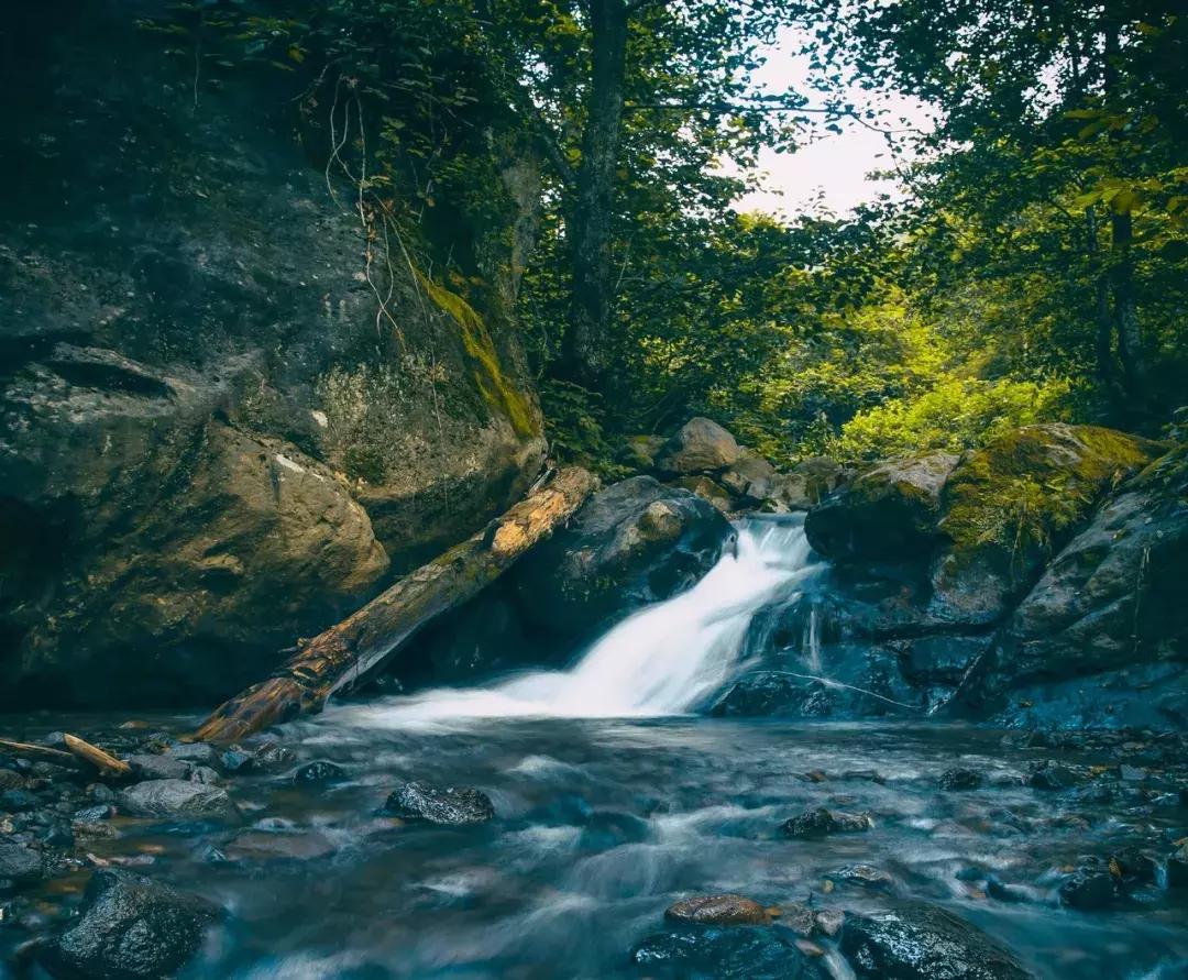 遇事知变通,遇事知止的感悟