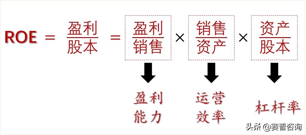 赛普咨询大运营,赛普咨询管理公司