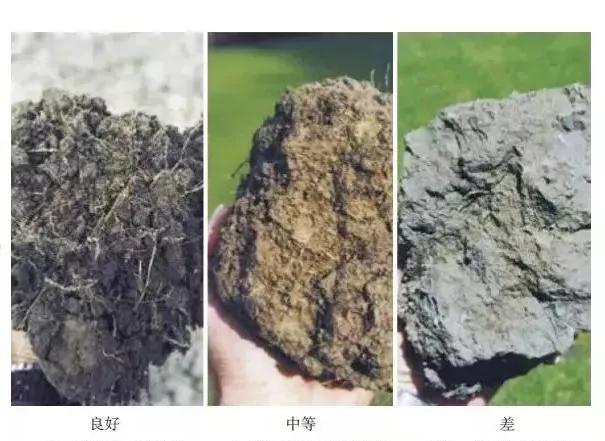 让农业真正回归照顾生命