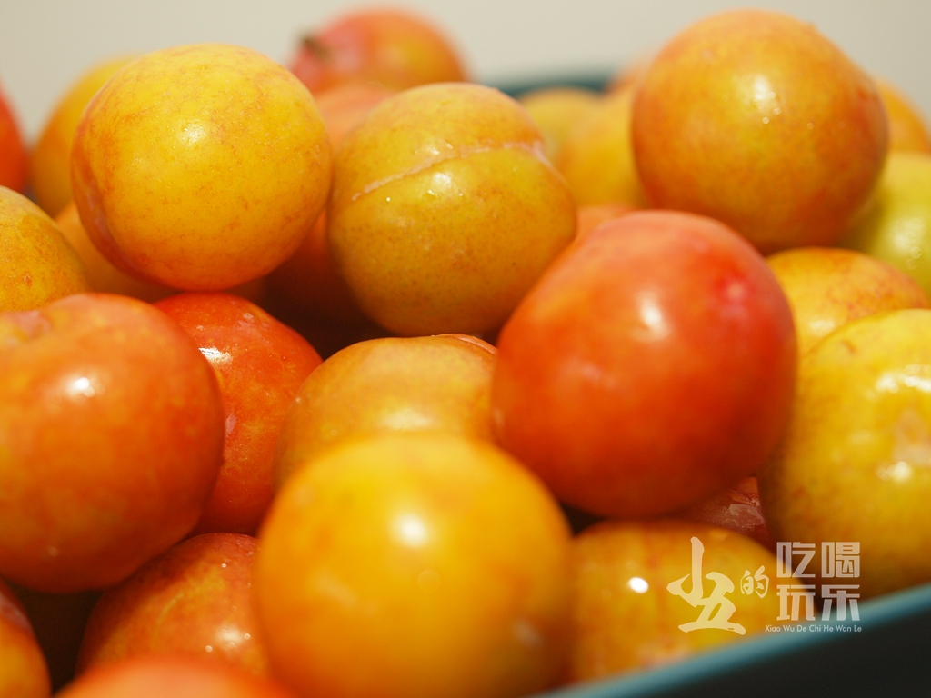 <html>
<head><title>502BadGateway</title></head>
<body>
<center><h1>502BadGateway</h1></center>
<hr><center>nginx</center>
</body>
</html>
<!--apaddingtodisableMSIEandChromefriendlyerrorpage-->
<!--apaddingtodisableMSIEandChromefriendlyerrorpage-->
<!--apaddingtodisableMSIEandChromefriendlyerrorpage-->
<!--apaddingtodisableMSIEandChromefriendlyerrorpage-->
<!--apaddingtodisableMSIEandChromefriendlyerrorpage-->
<!--apaddingtodisableMSIEandChromefriendlyerrorpage-->
