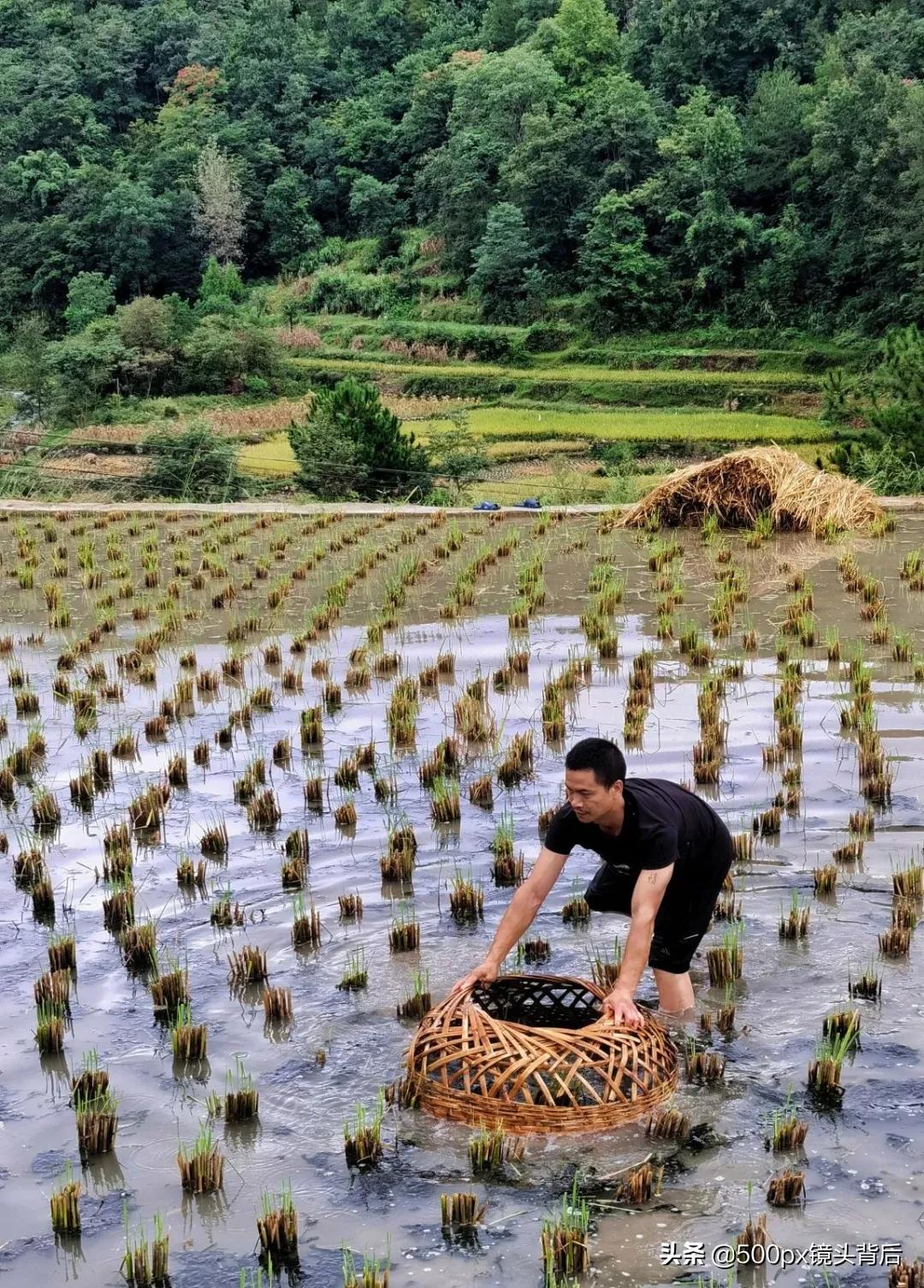 旅行干货与必杀技手机摄影,手机摄影旅游攻略