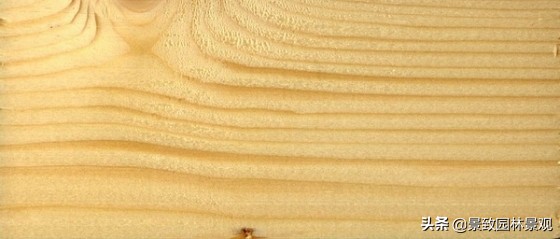木纹最好看的木材图片,各种木材纹理图片与名称