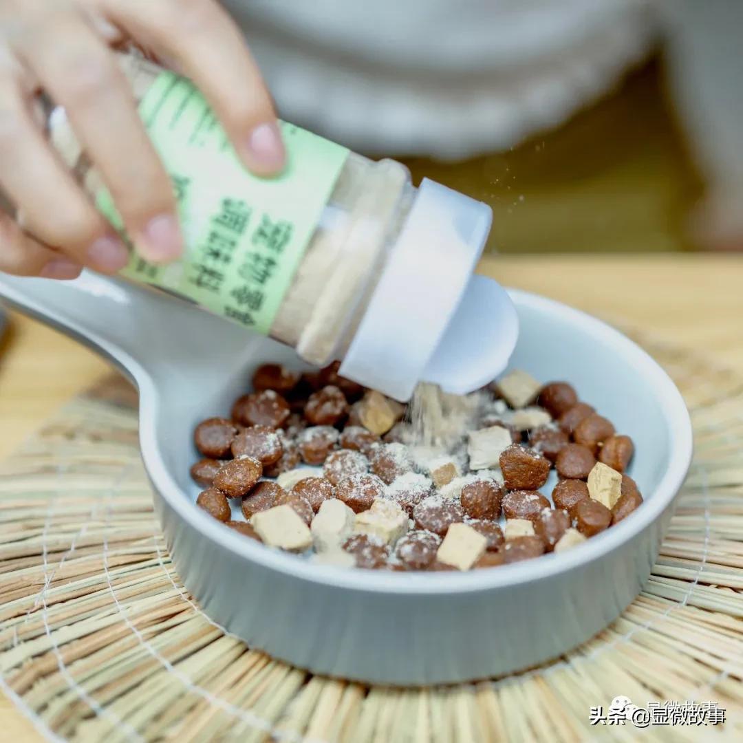 这届大学生有多野：23岁年入一亿，在淘宝卖狗狗奶茶