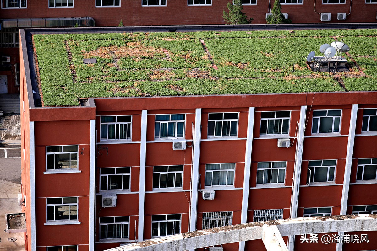 北京第二外国语学院风景,北京第二外国语学院分析