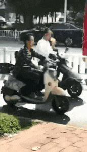 女友又胖又懒还脾气差,女朋友贪吃很胖怎么办