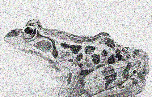 HIFI科普|底噪堪比*霜砒**，可能摧毁你的心情与健康