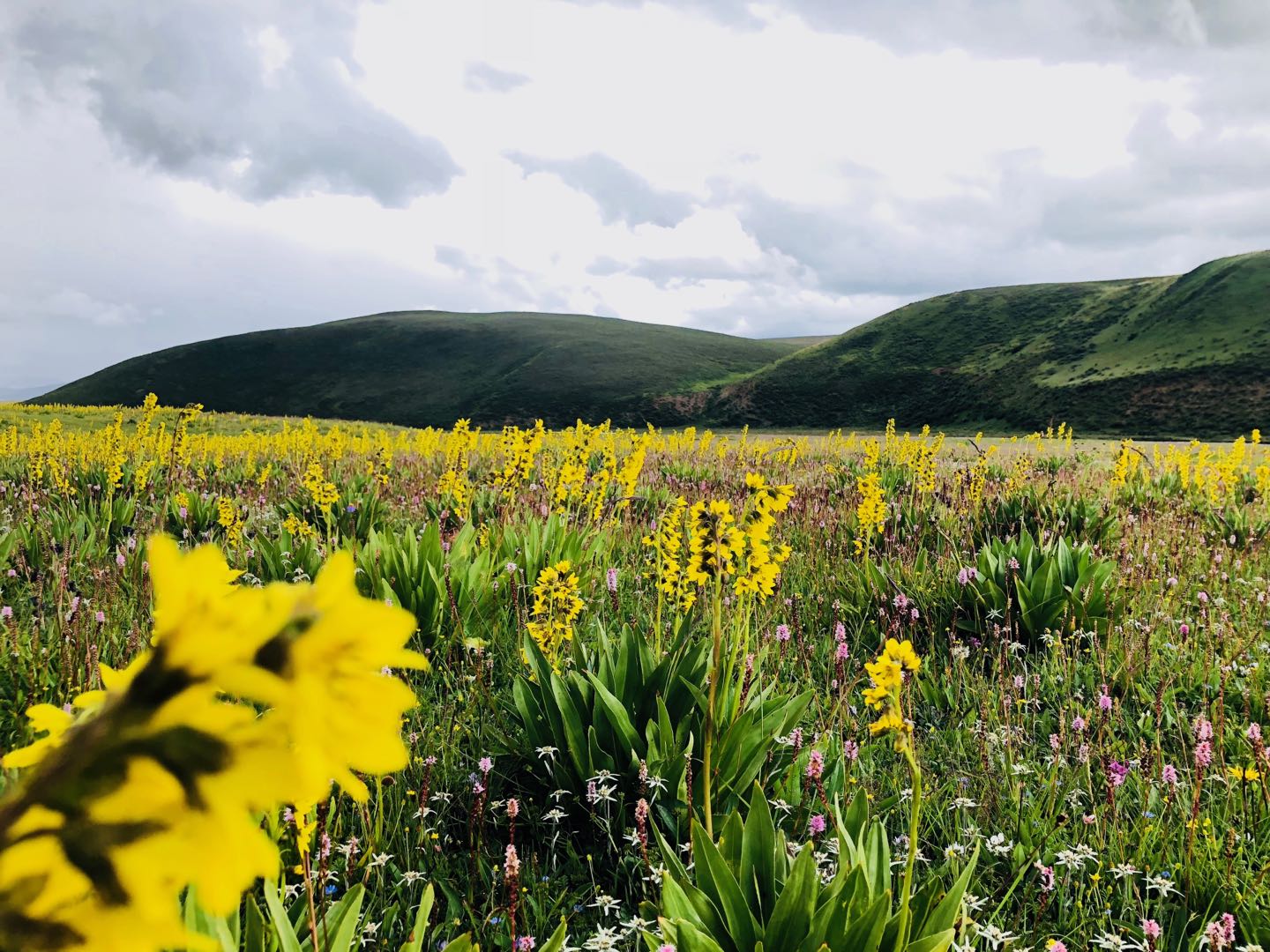 自驾川藏南北线及滇藏线攻略,川藏南线沿途风景