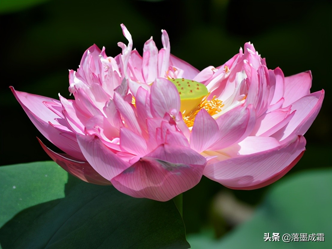 广西大学有哪些标志性的景色,走进广西美景