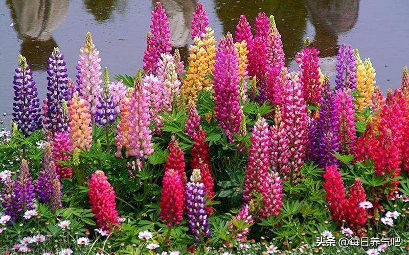 气能量Ⅱ篇12：文气的能量（连载1）