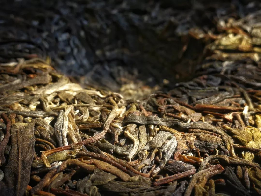 茶｜什么是紧压茶？压成大饼会更好喝吗？