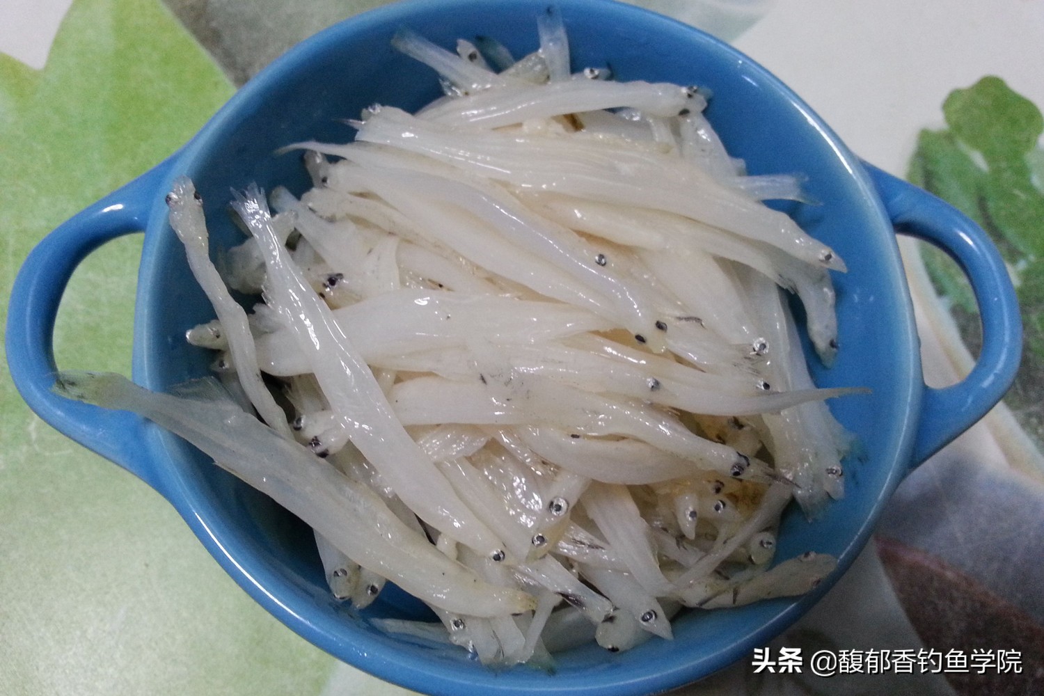 五大贡鱼价格表,五大名贵贡鱼