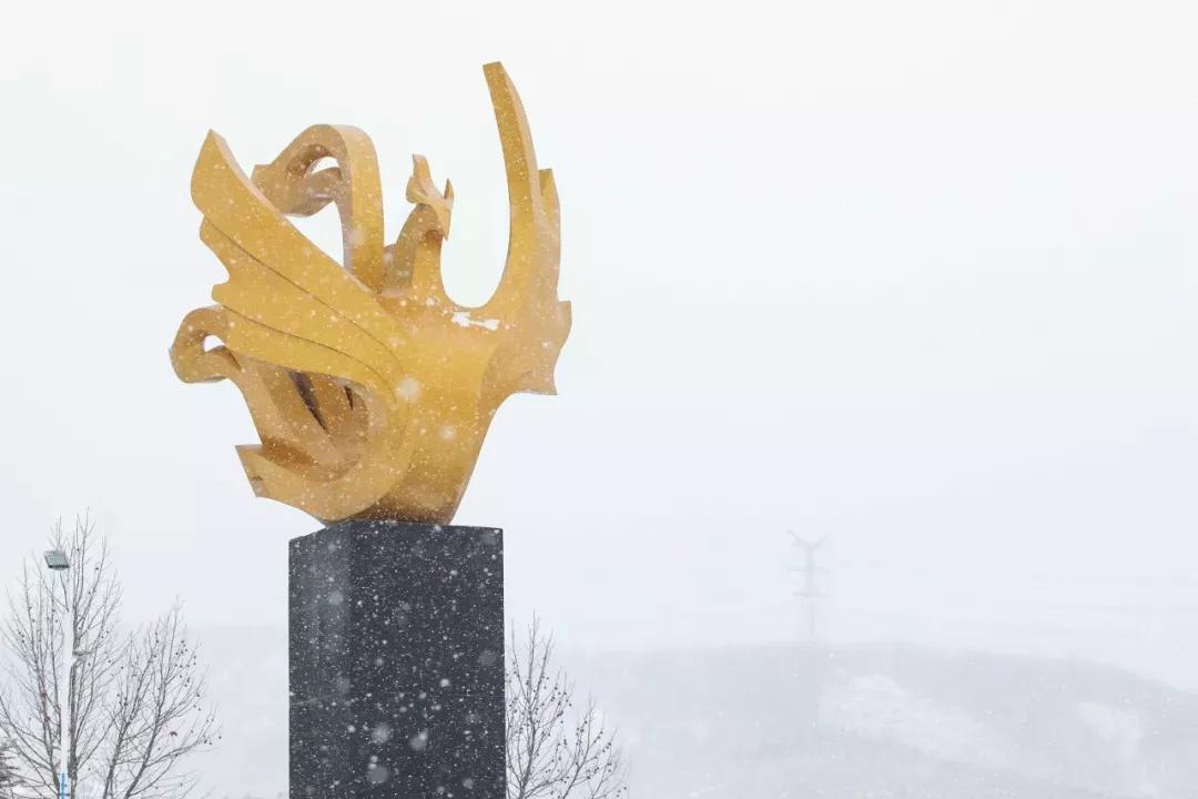 民办学校大连艺术学院全国排名,大连艺术学院辽宁排名