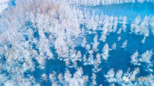 杜甫写天末怀李白的背景,文章憎命达的下一句