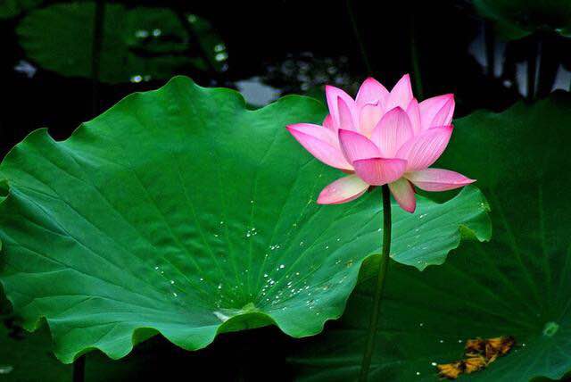 期货趋势交易和波段交易的取舍,期货交易之道及技巧书籍