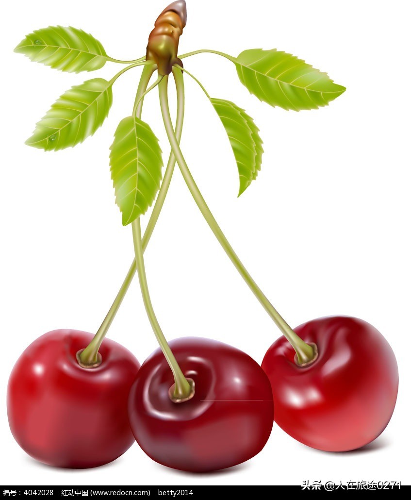 西安樱桃园,西安附近樱桃园采摘园位置