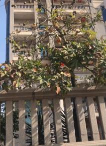 福建有钱人别墅城堡,福建有钱人住的别墅在哪里