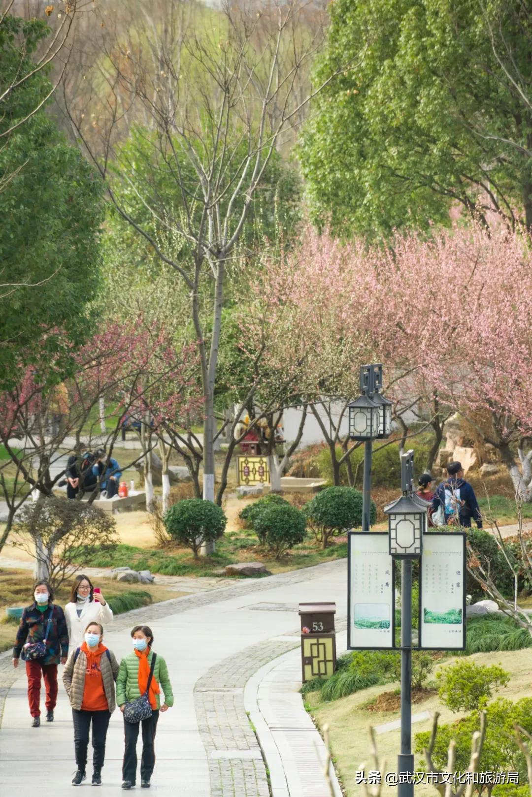 花young官方购票,花young套餐29元103g联通